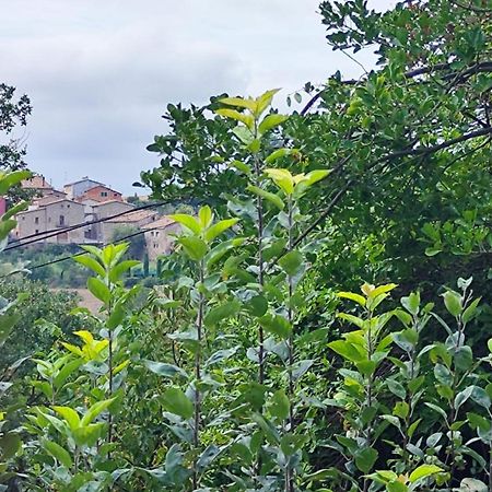 Appartamento Piso Rural Sol Bergueda Aviá Esterno foto